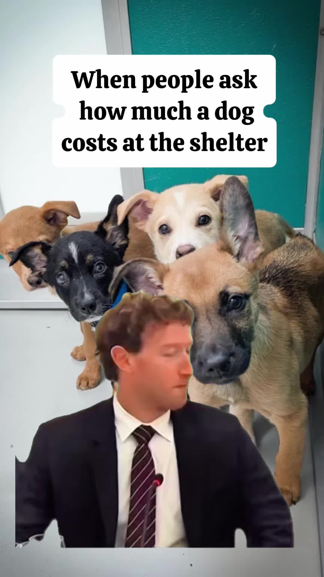 @AnimalWelfareGuy