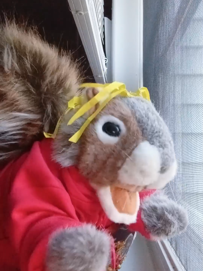 @Charles_TheSquirrel