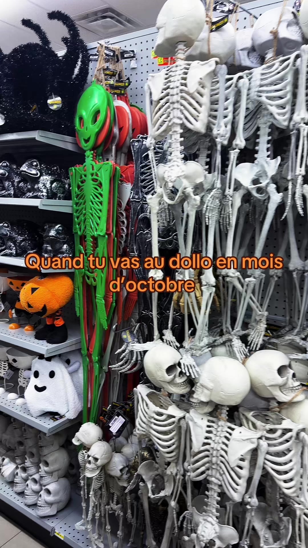 @Ann-dorlee