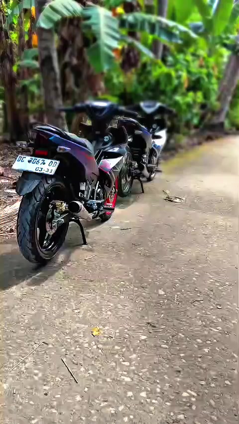 @Mx bocil🚀