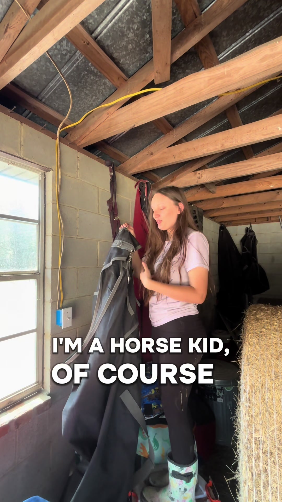 @itiswellstables