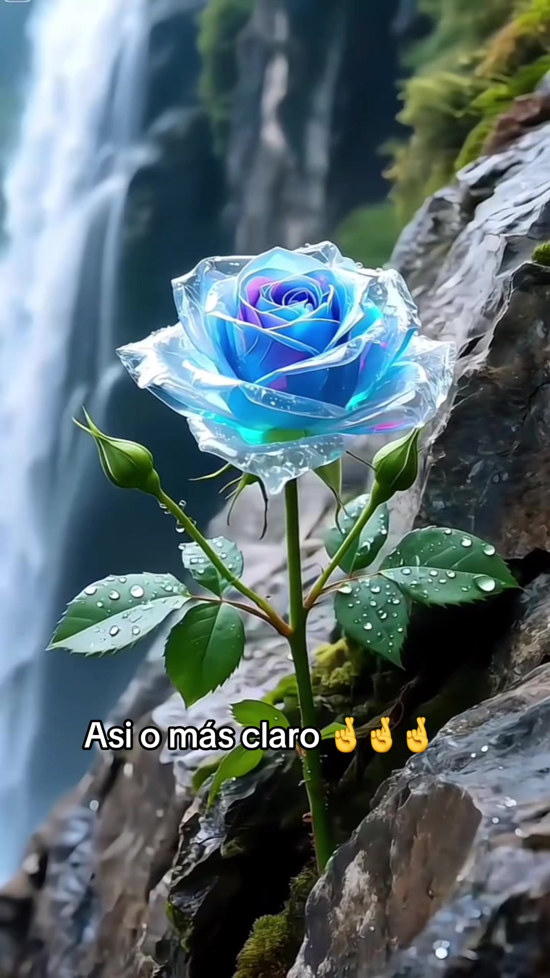 @tu_07preferida