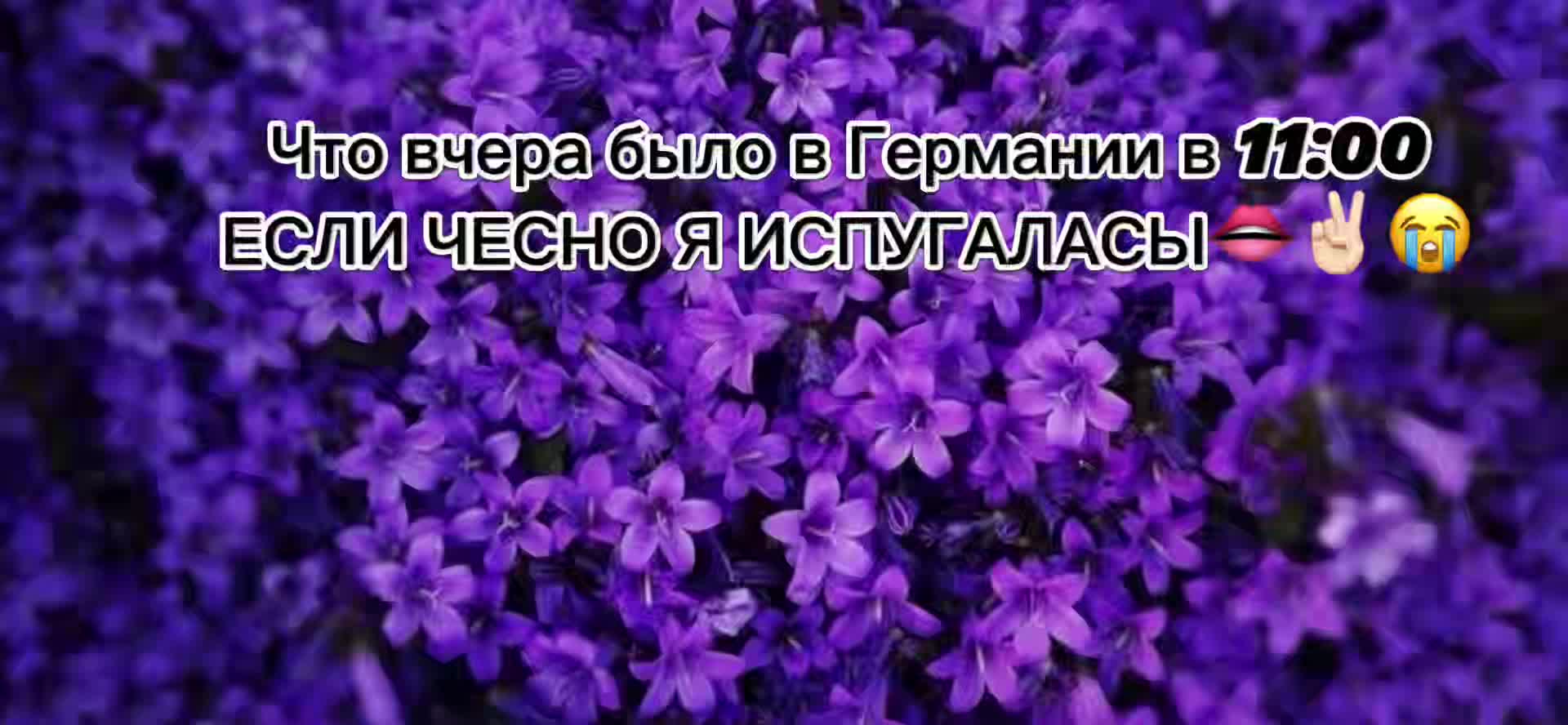 @Kitty_cat;3