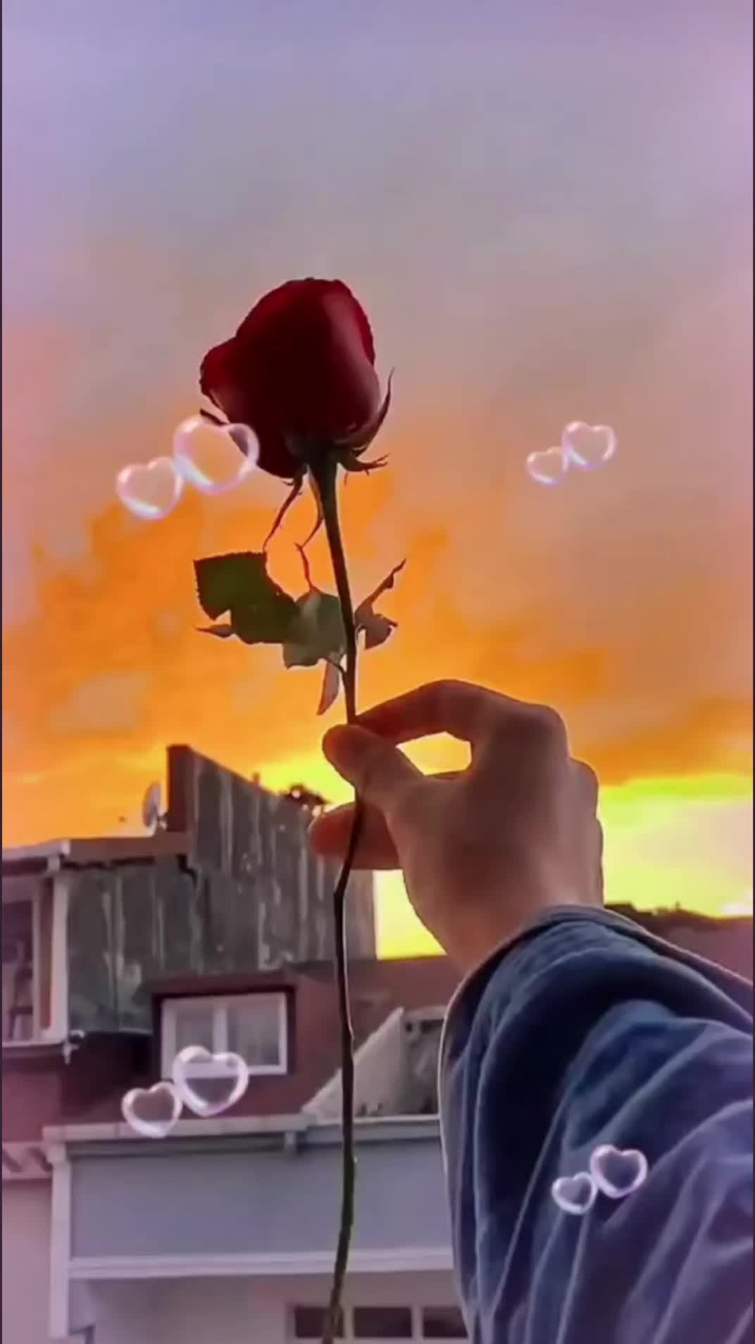 @Роза Долгова
