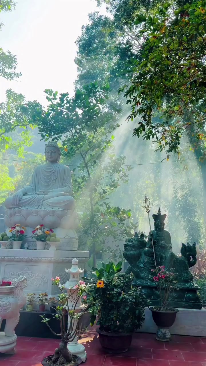 @ཚེ་རིང་འཇིགས་མེད།