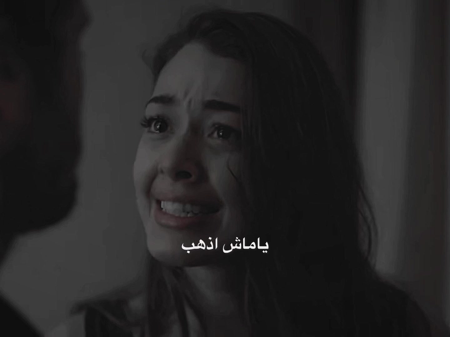 @yamaç🕸️