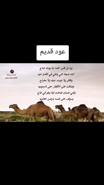 @حساب قناة عابر سبيل♧( الرسمي)