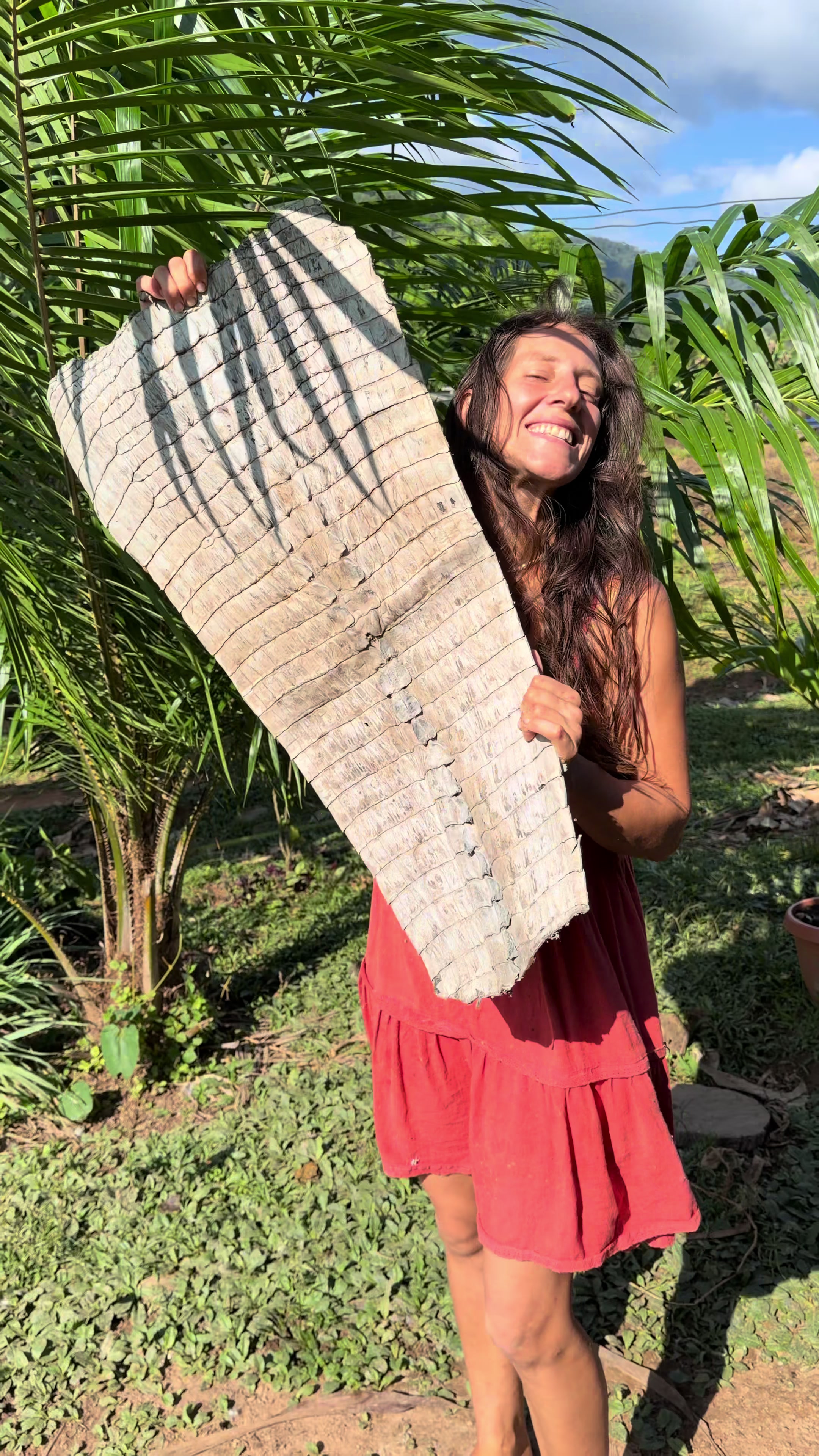 @Jungle Outdoor Sabine Nichols