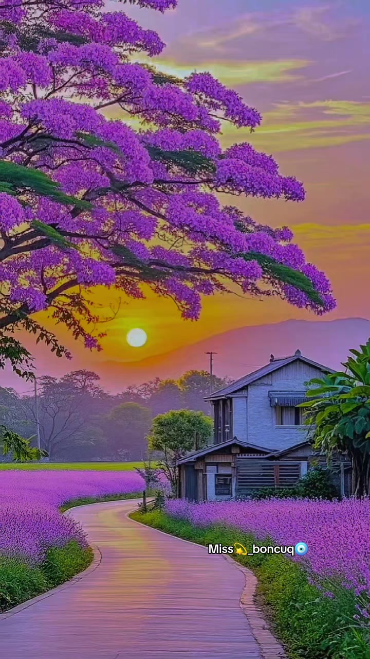 @๐ ๐๐ฒ๐ผ๐ผ ๐ซ ๐๐ธ๐ท๐ฌ๐พ๐บ ๐งฟ