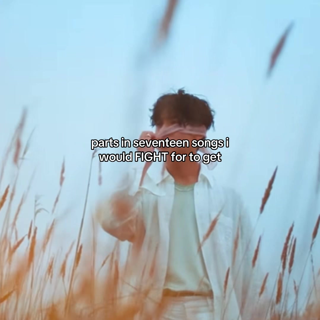 @stan svt