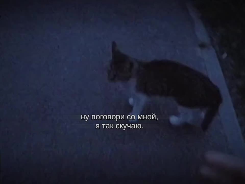 @meowwv#12:39.