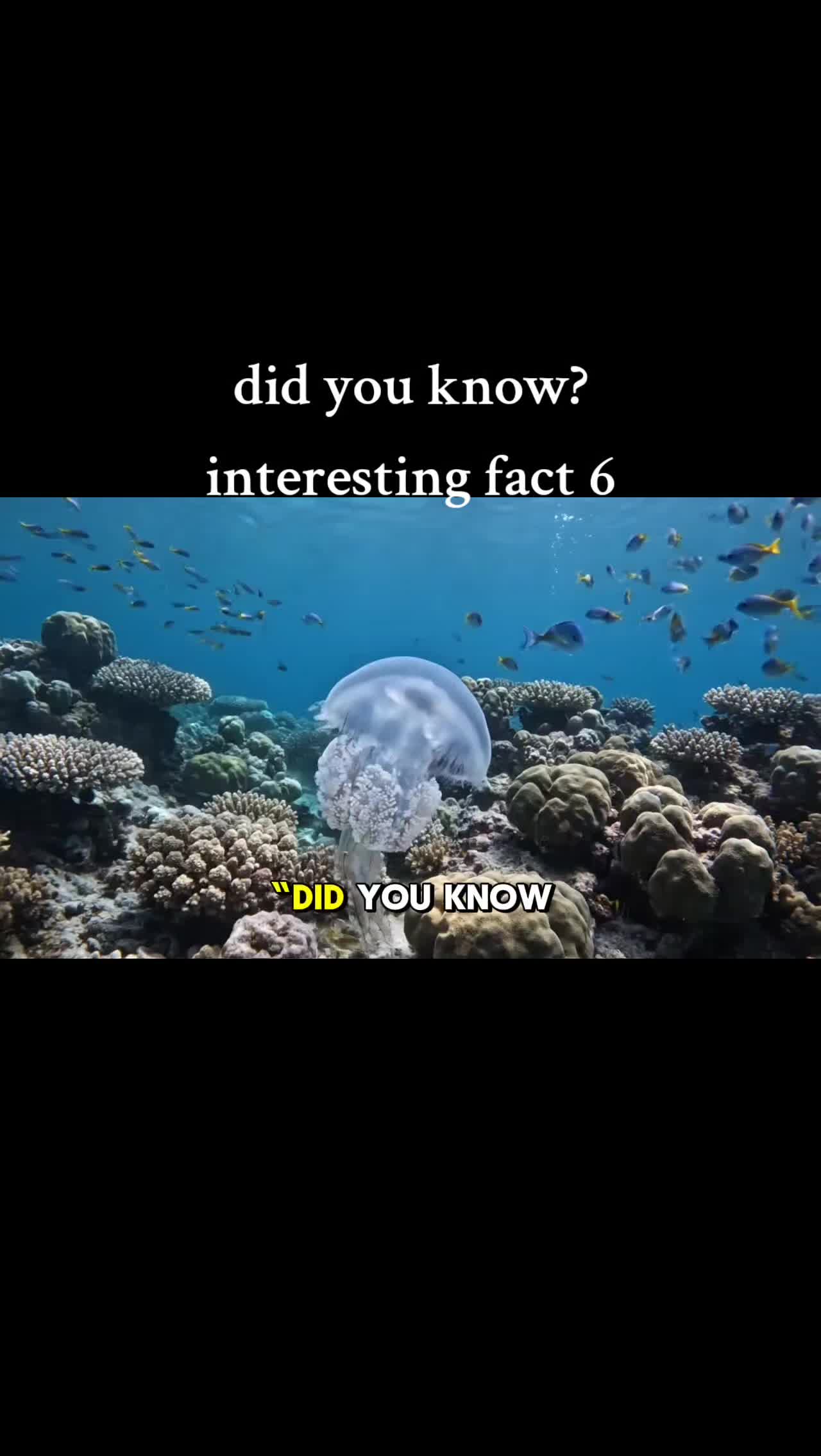 @KevOnRepeat