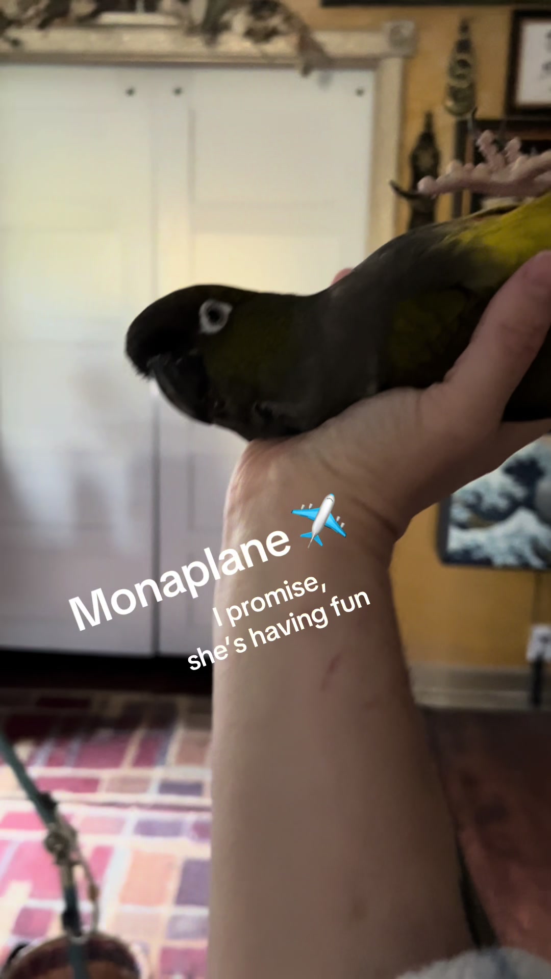 @Rain Blossom Birds