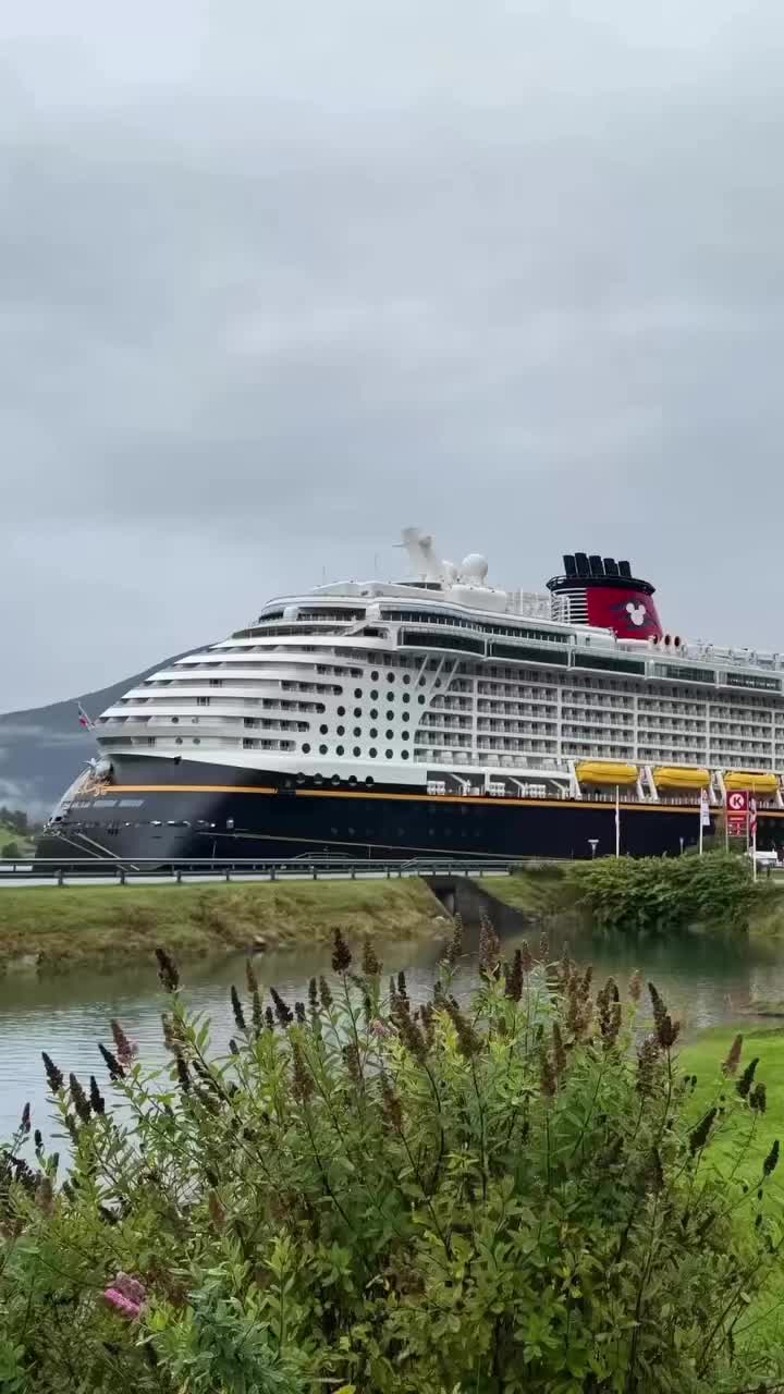 @Michelle | Disney Cruise & ABD