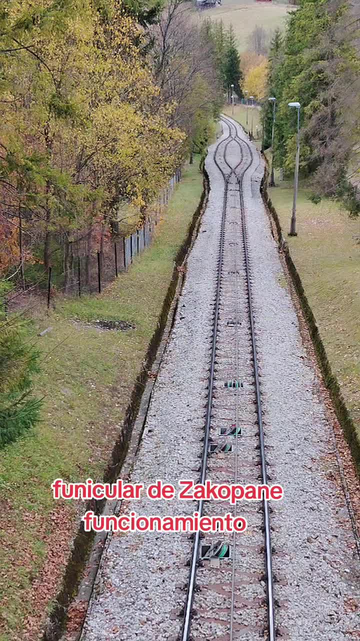 @MARIANOF_AL_NATURAL
