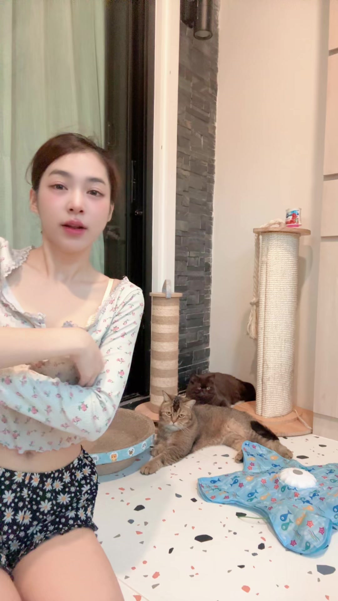 @กิ๊ฟตี้มีแมวห้าตัว