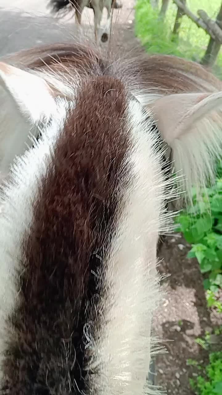 @Horselife&hearts;️