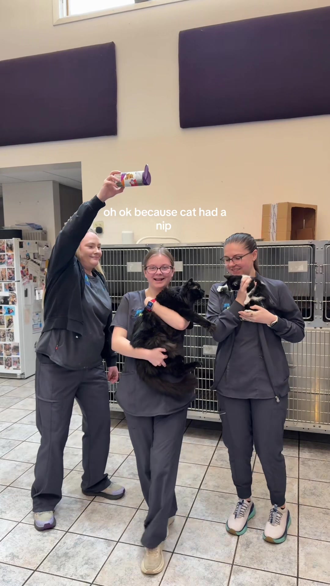 @Deer Park Veterinary Hospital