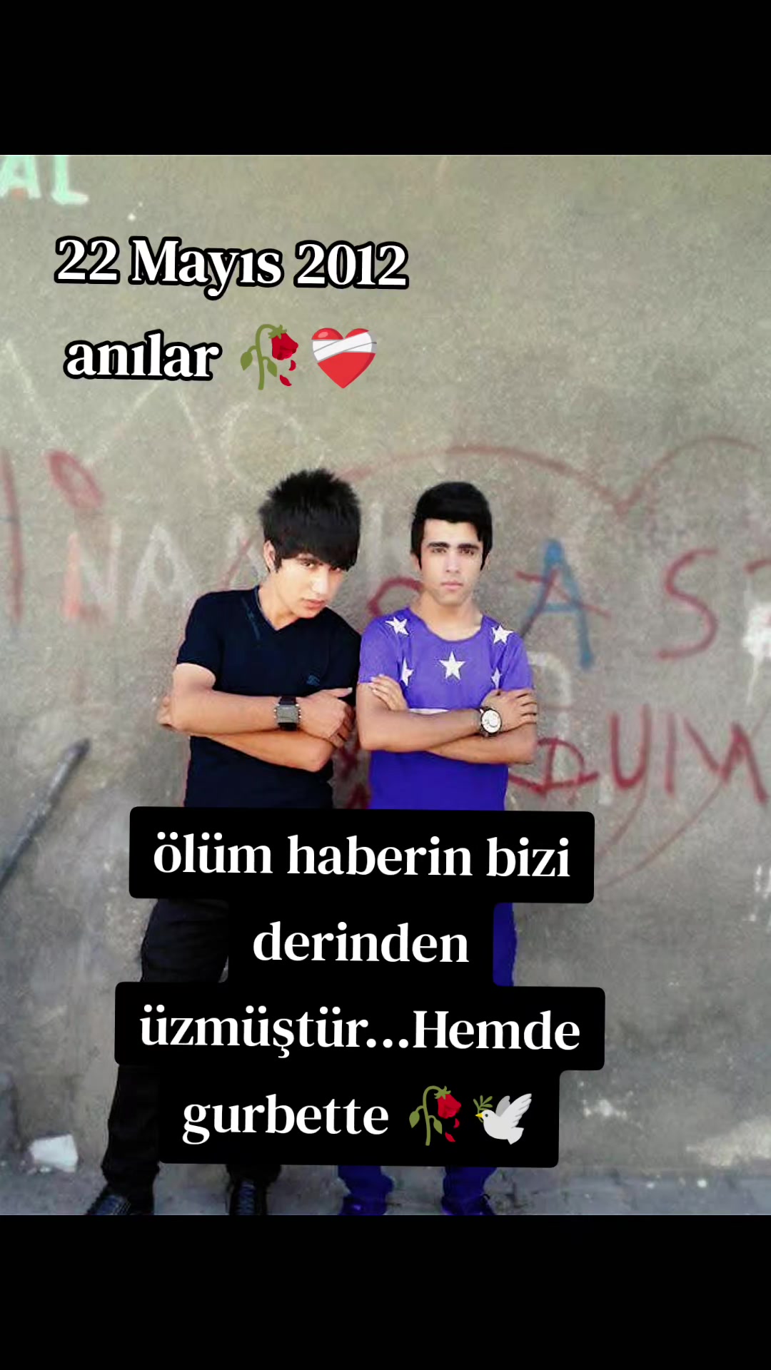 @Sedat Aktaş