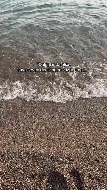 @ŞahMARan 🐍