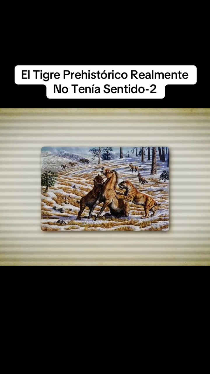 @user4076628818079