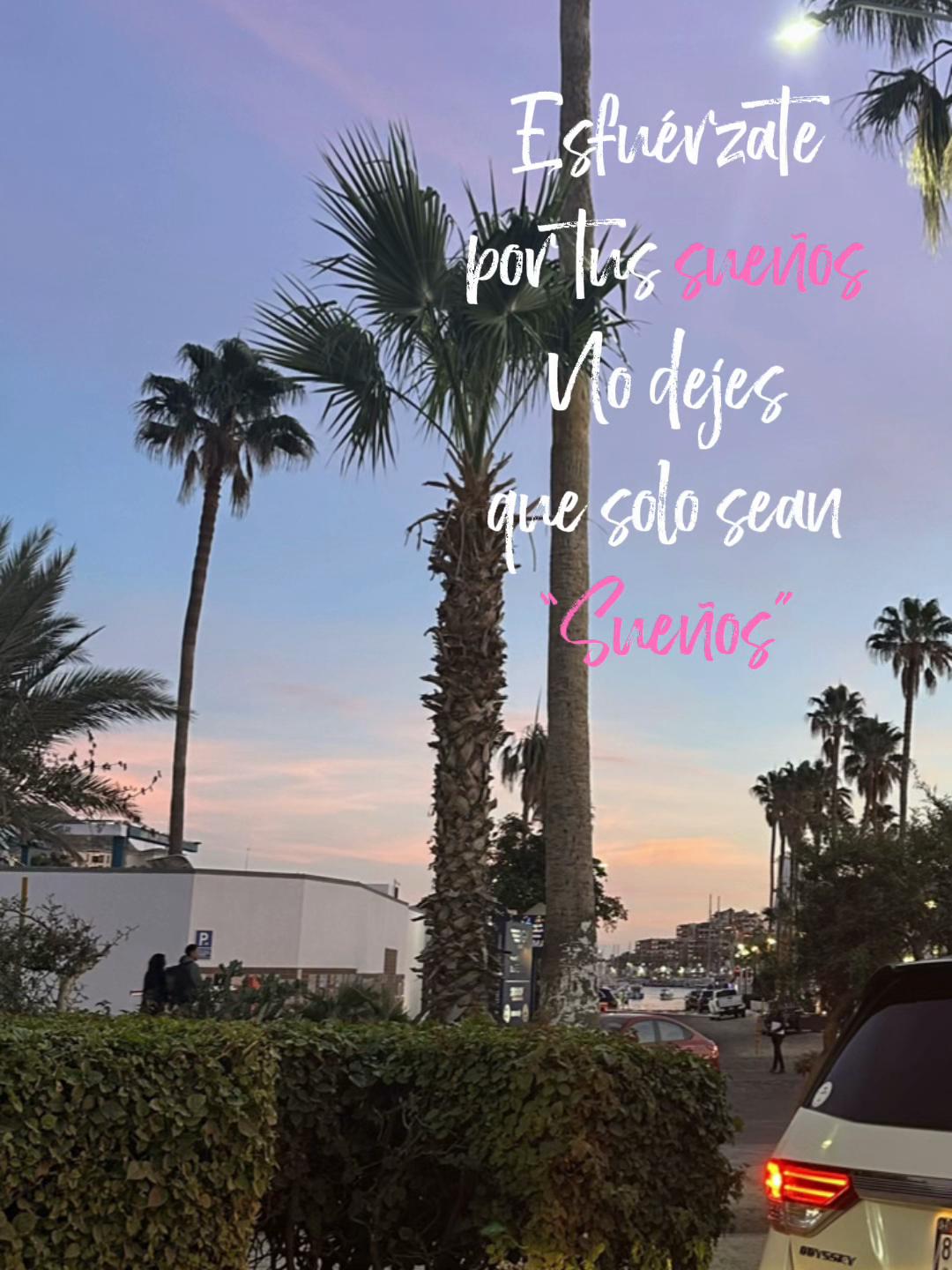 @&hearts;︎Flor&hearts;︎