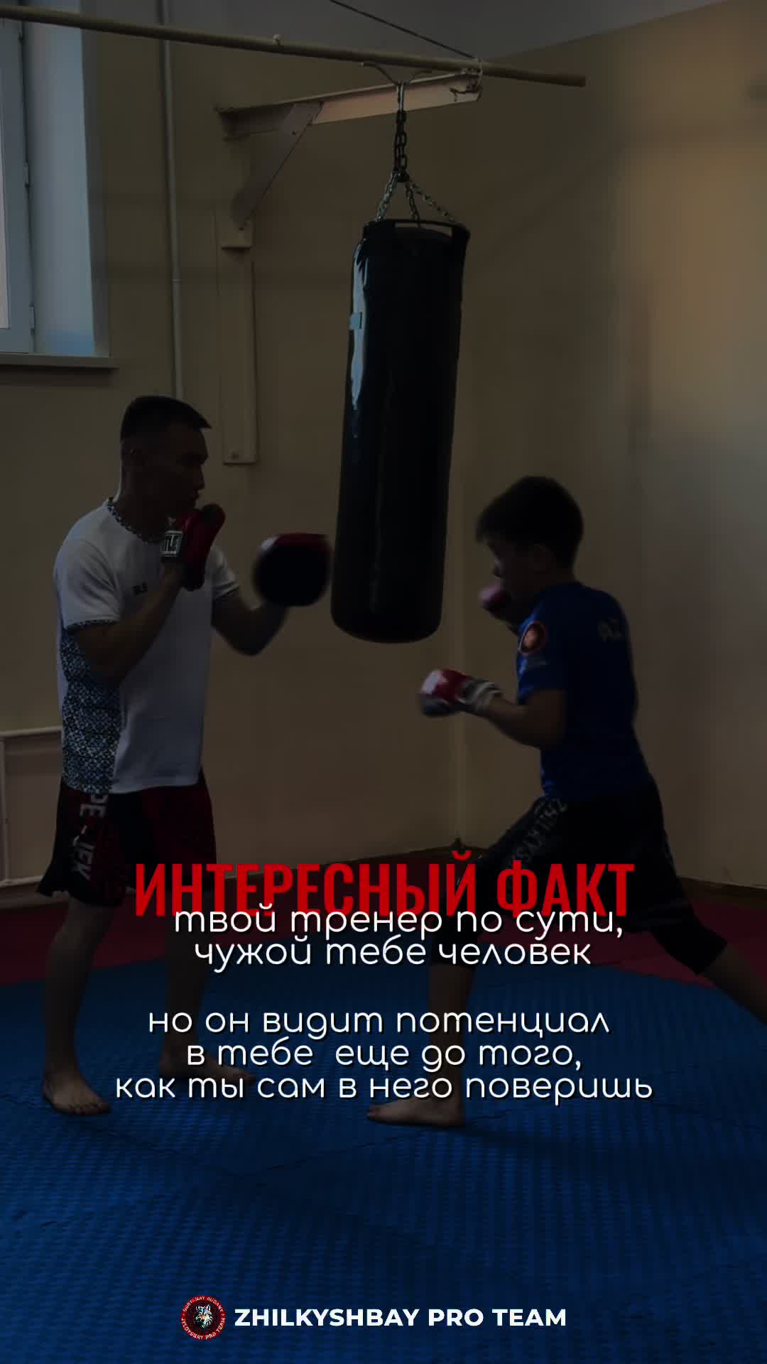 @zhilkyshbay.pro.team