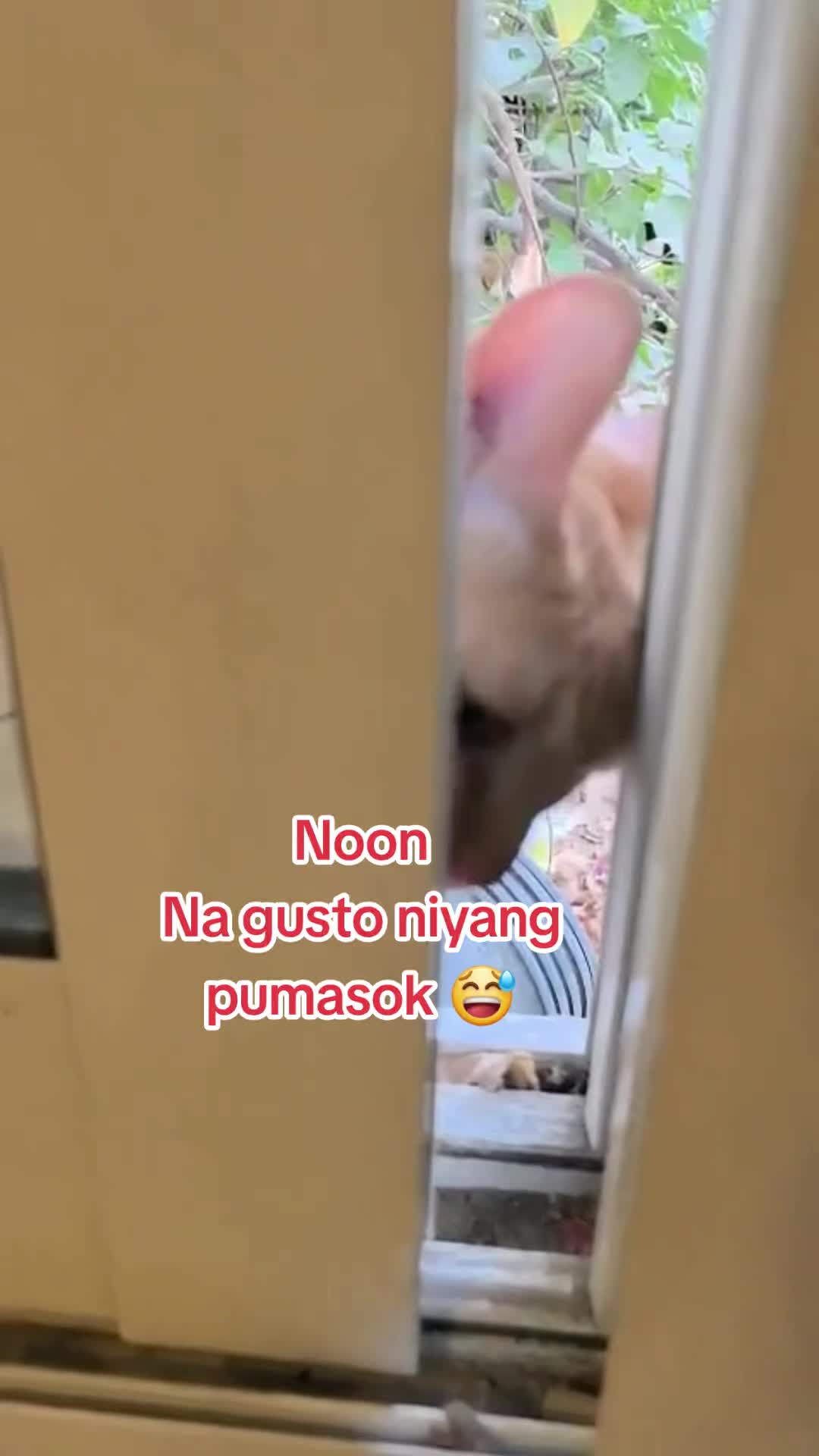 @️
