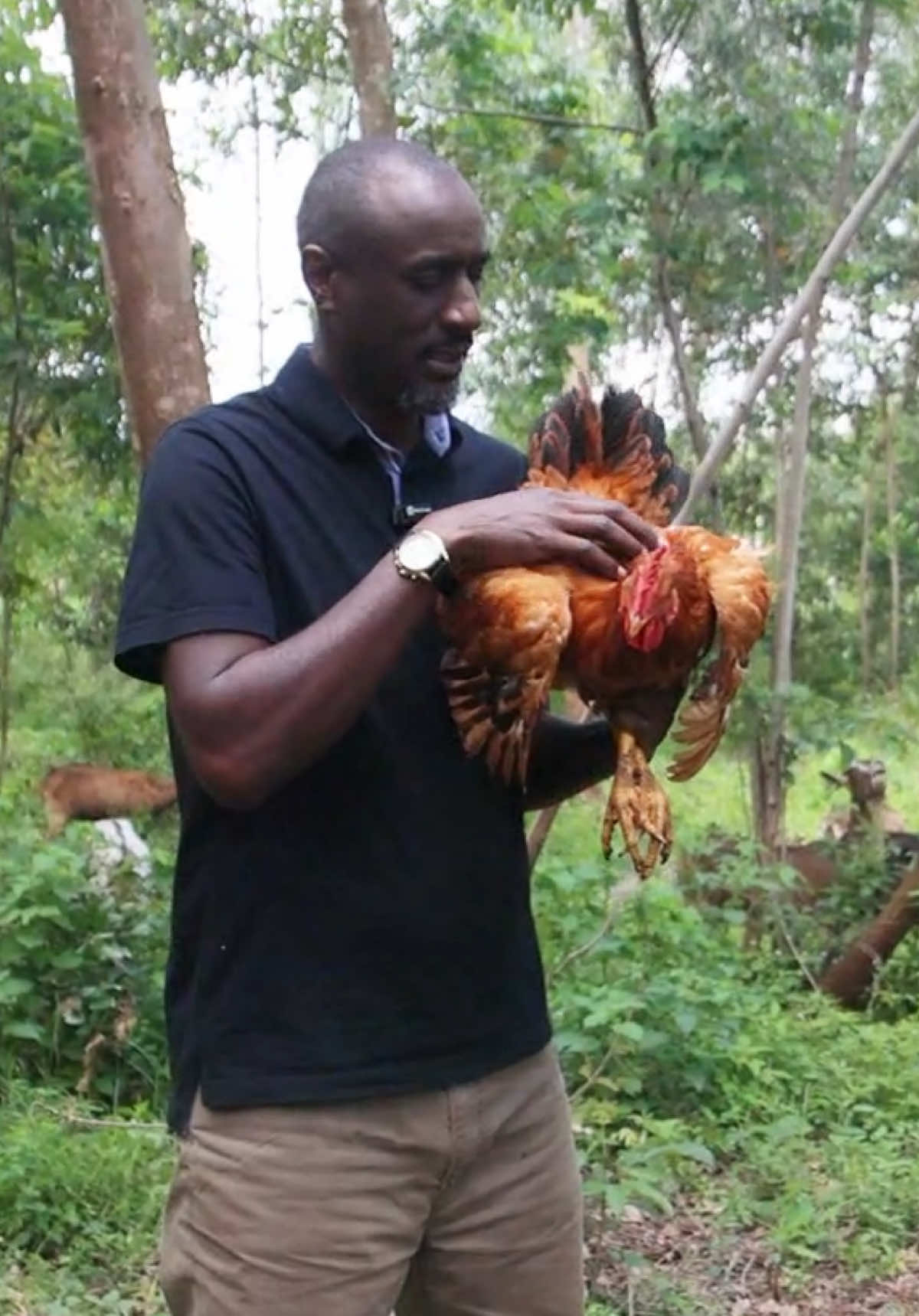 @Caleb Karuga - Farmercist