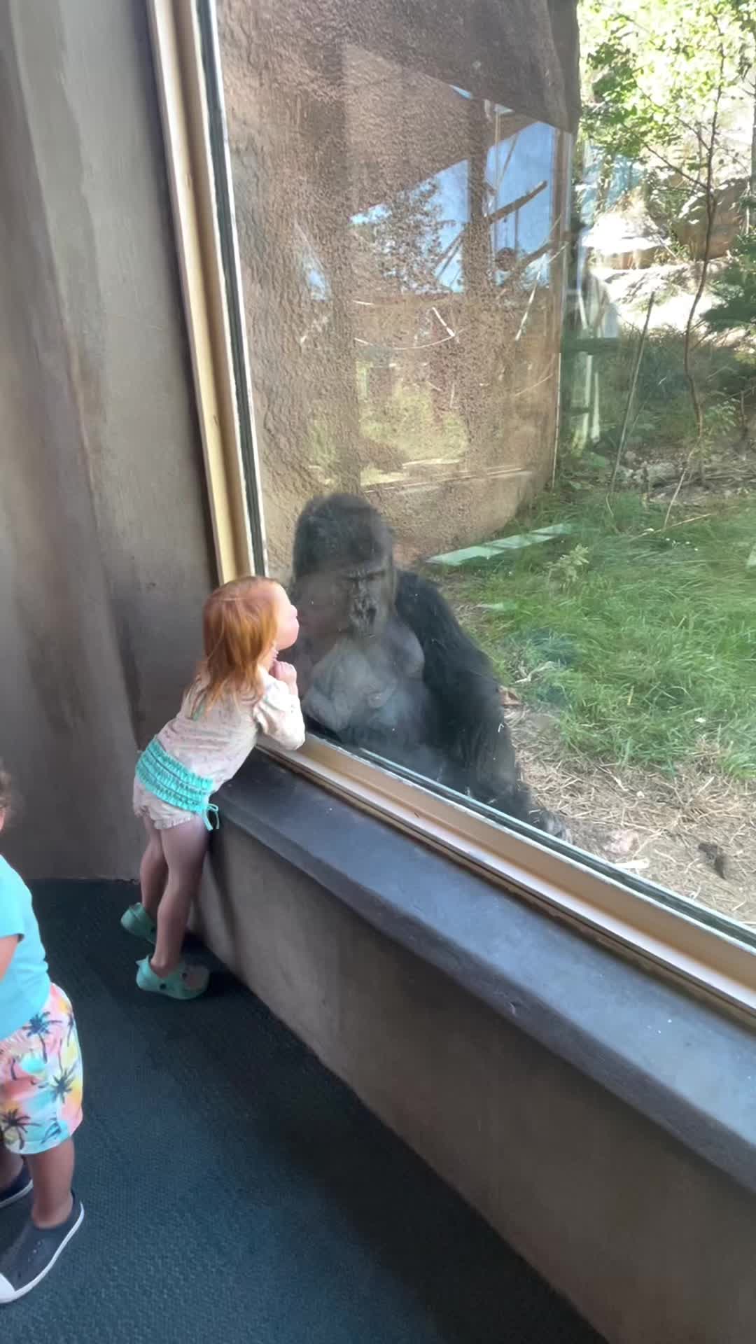 @Funny😁 animals👀