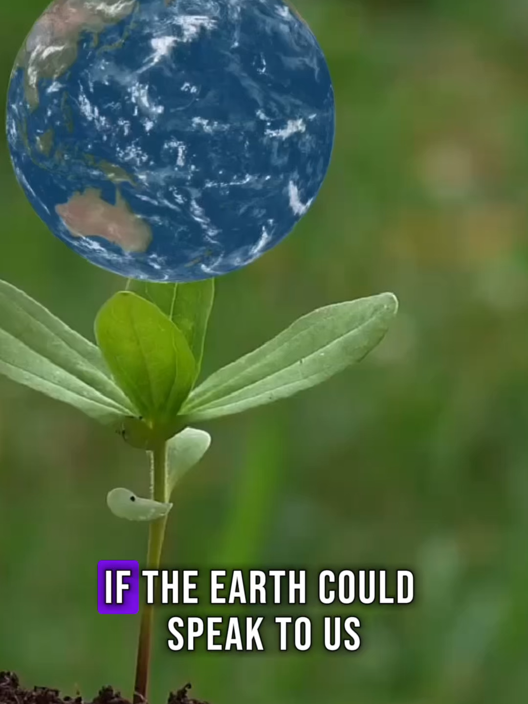 @Chemical Kim