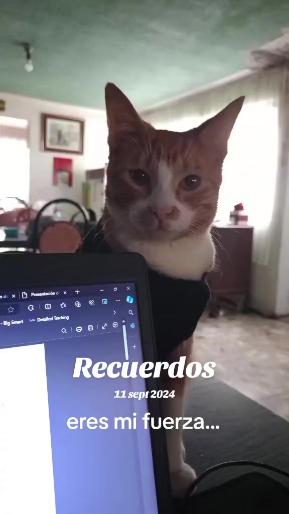 @Mildreth Dávila