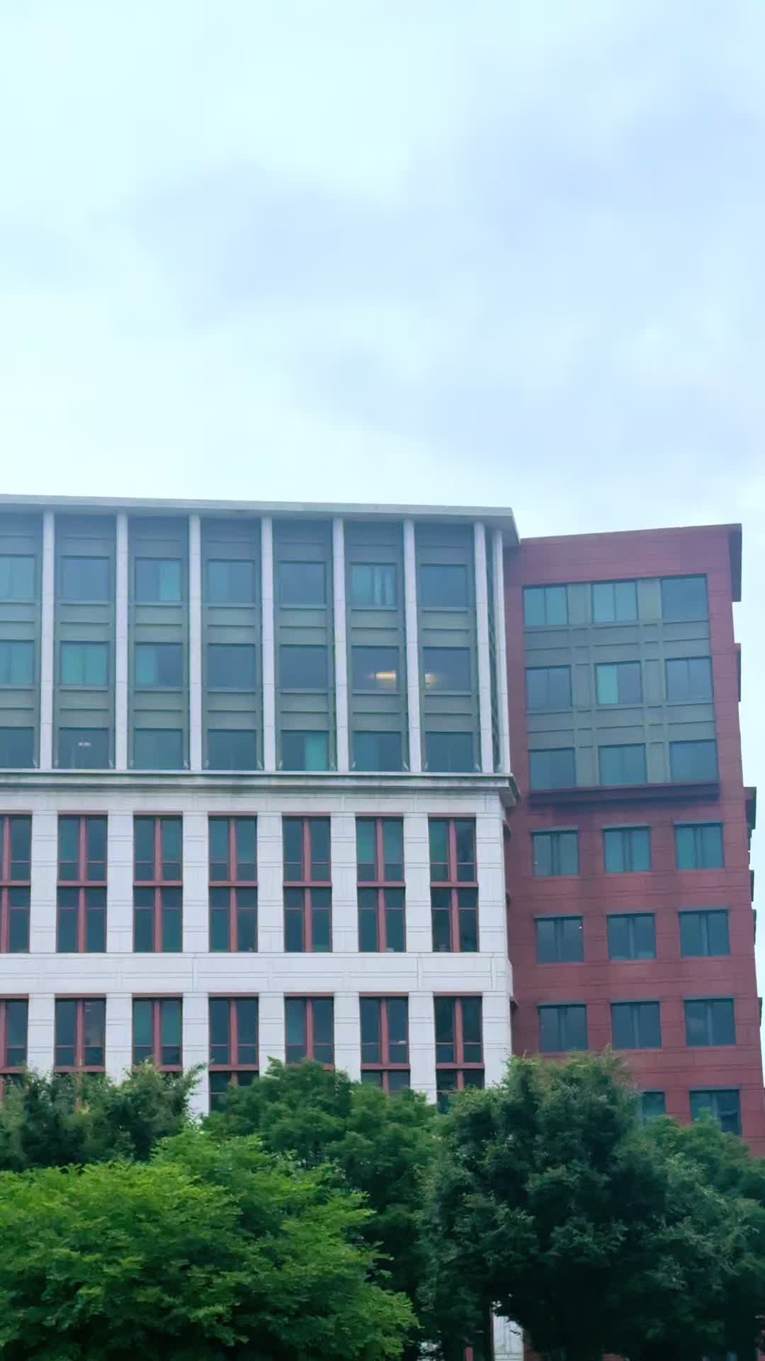 @RJ A 🇺🇸