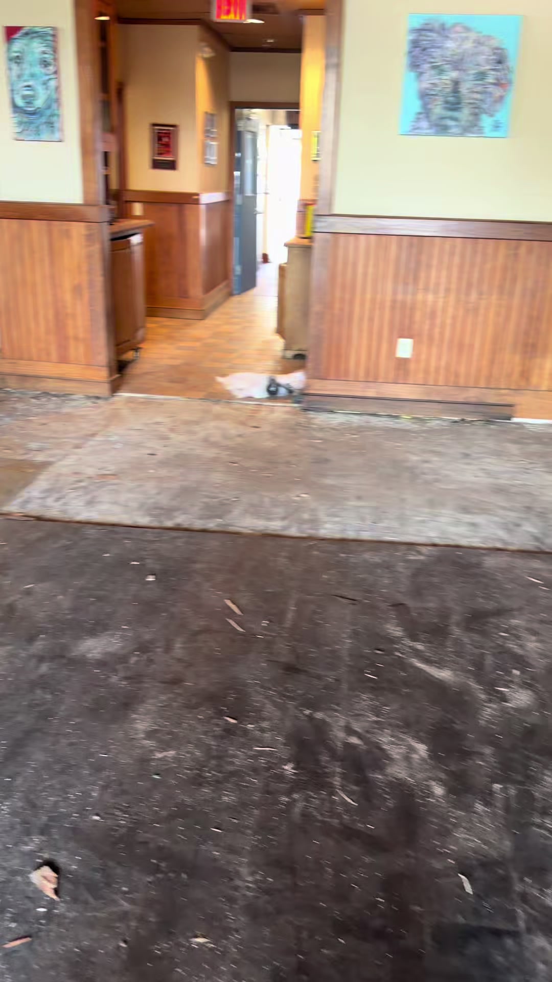@NoesUniqueFlooring