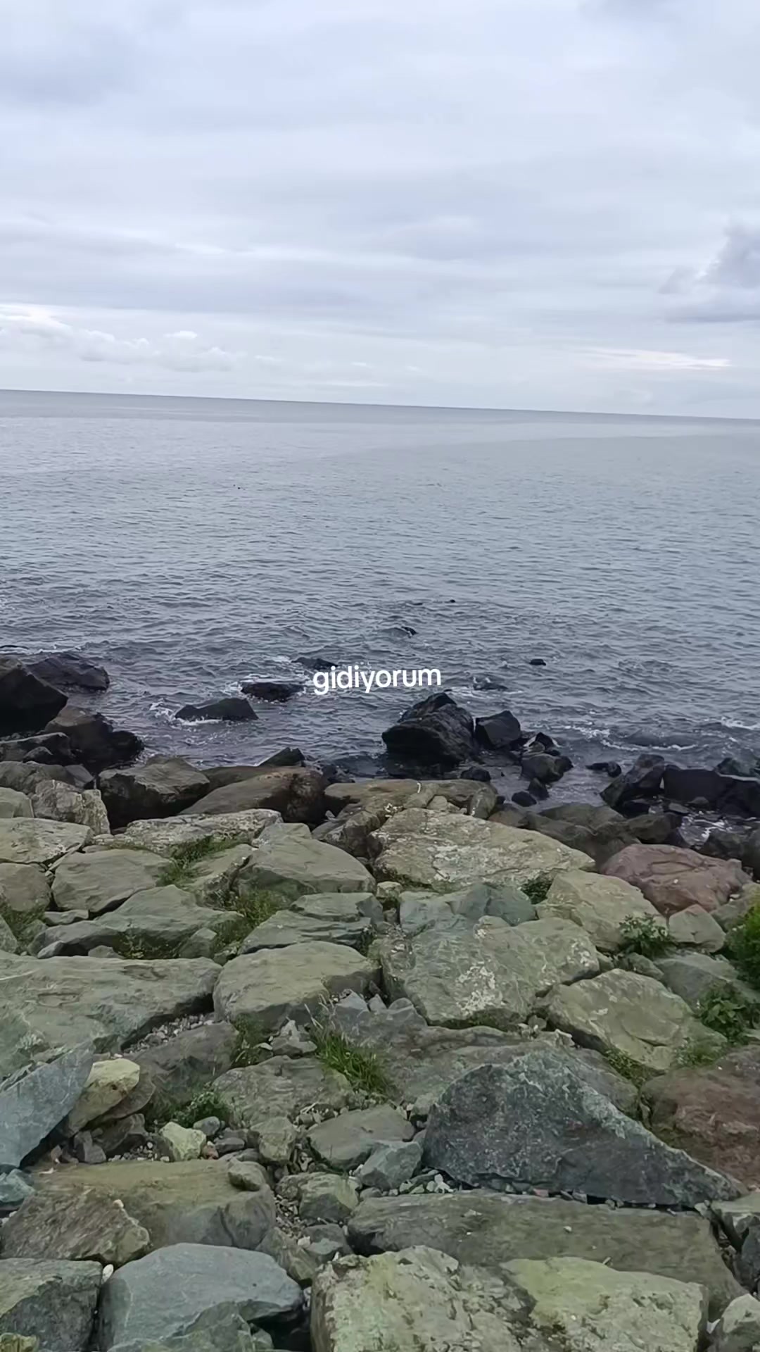 @🕊️꧁༺ ʜüᴢüɴ ᴋᴏᴋᴜꜱᴜ꧂🕊️