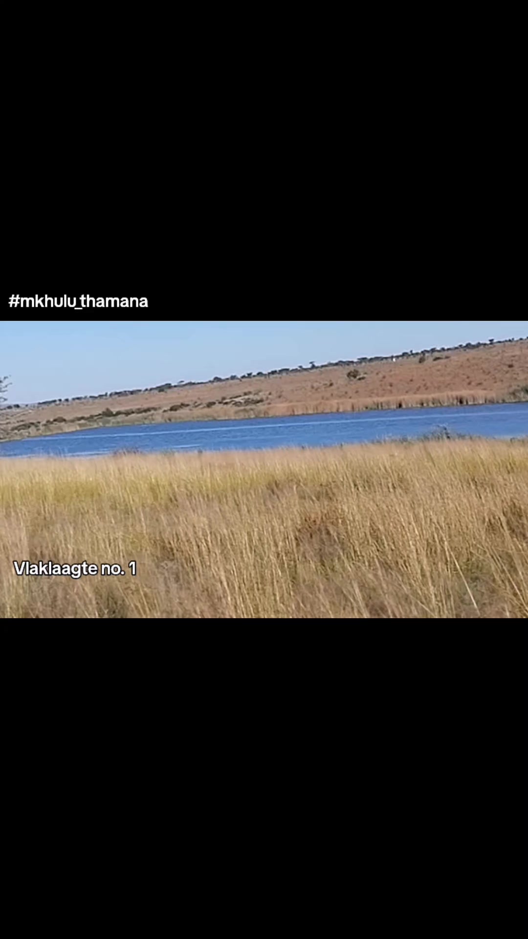 @Thamana
