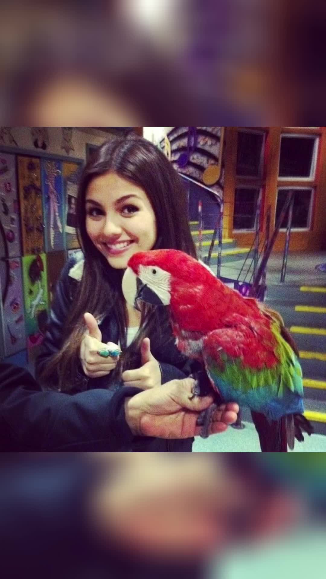 @VICTORious