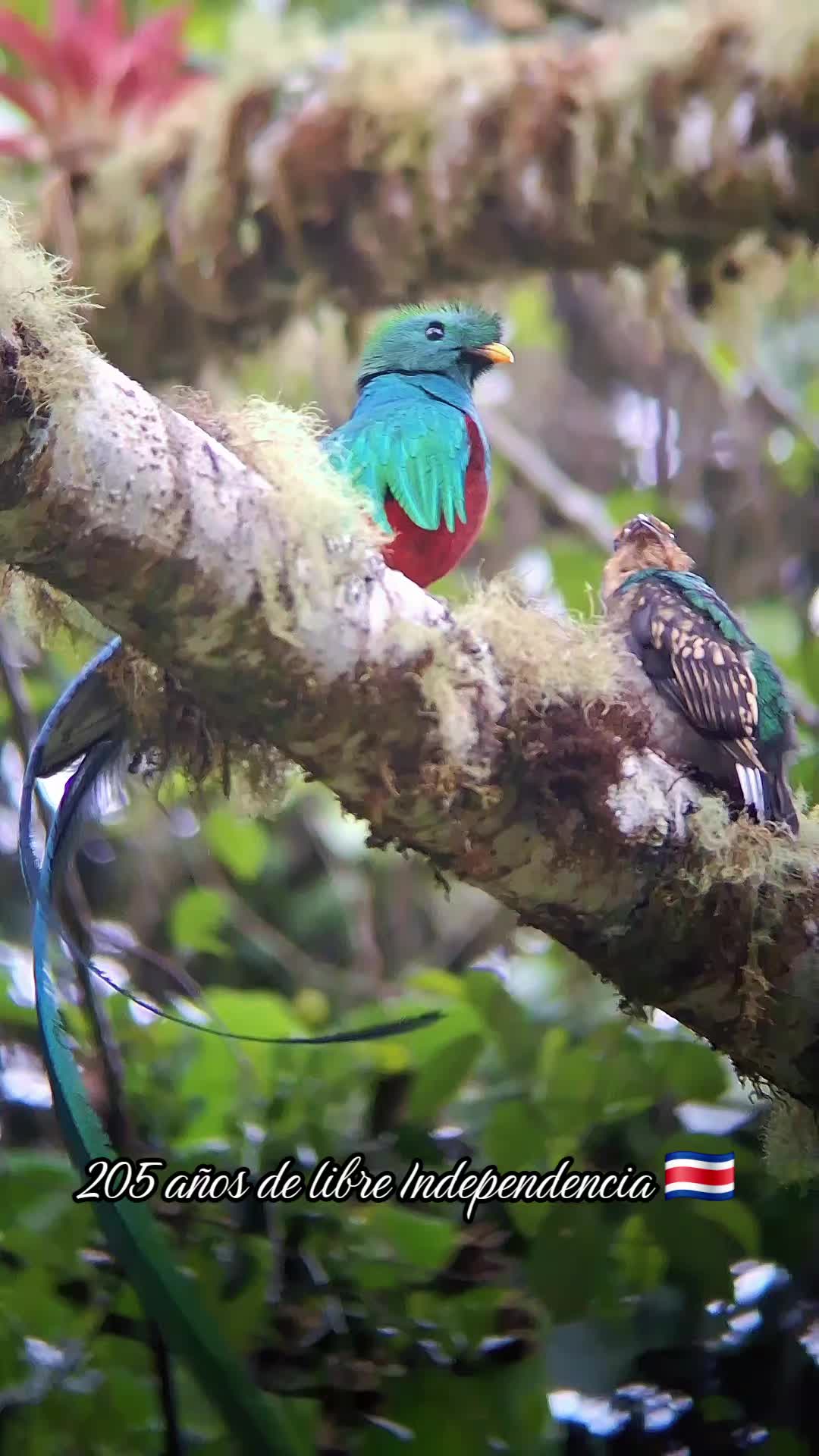 @Quetzal Tours CR🇨🇷