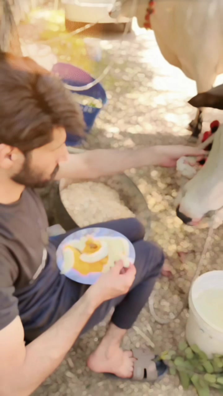 @Ahtsham Butt
