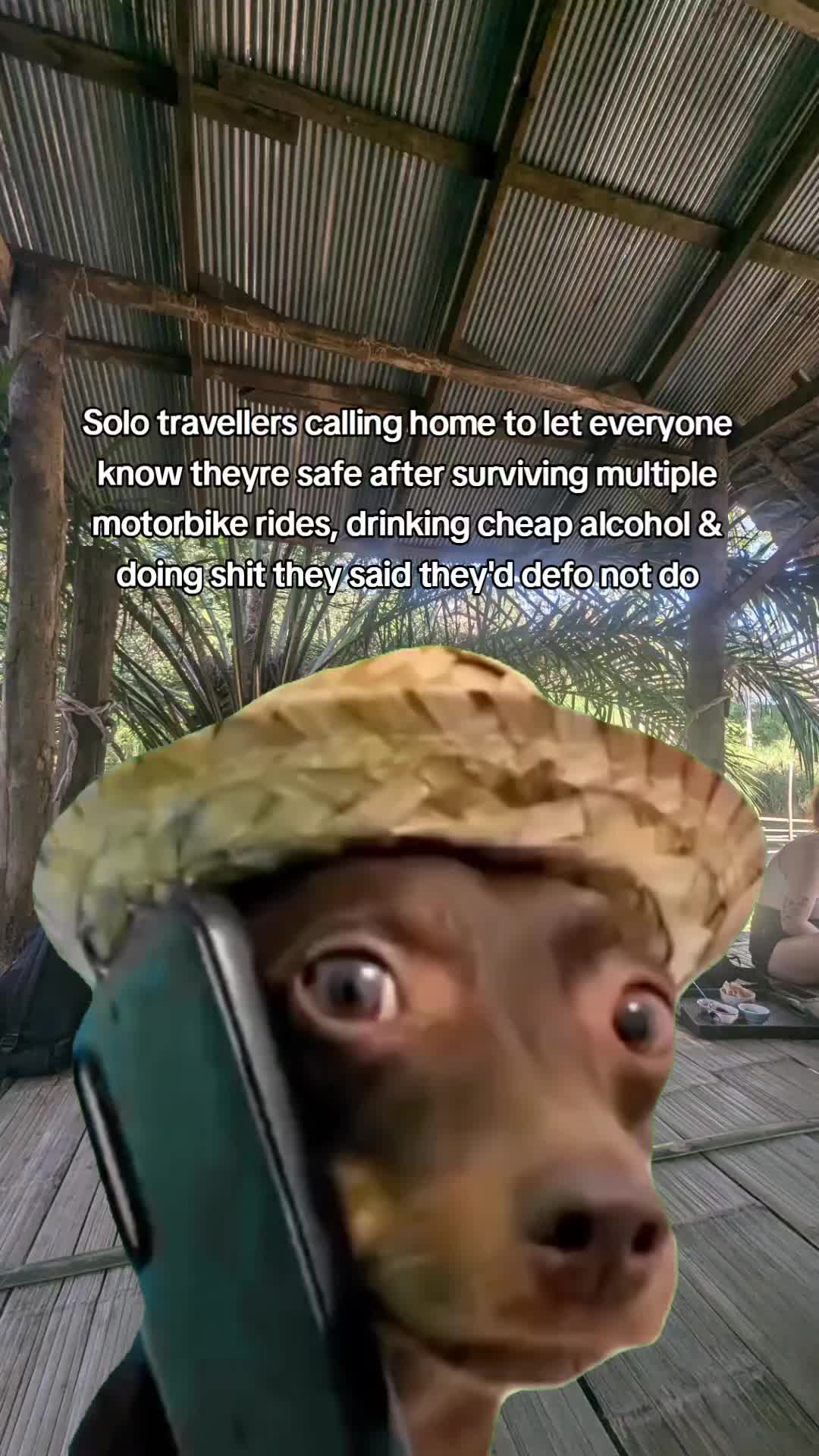 @TheTravelYogi777