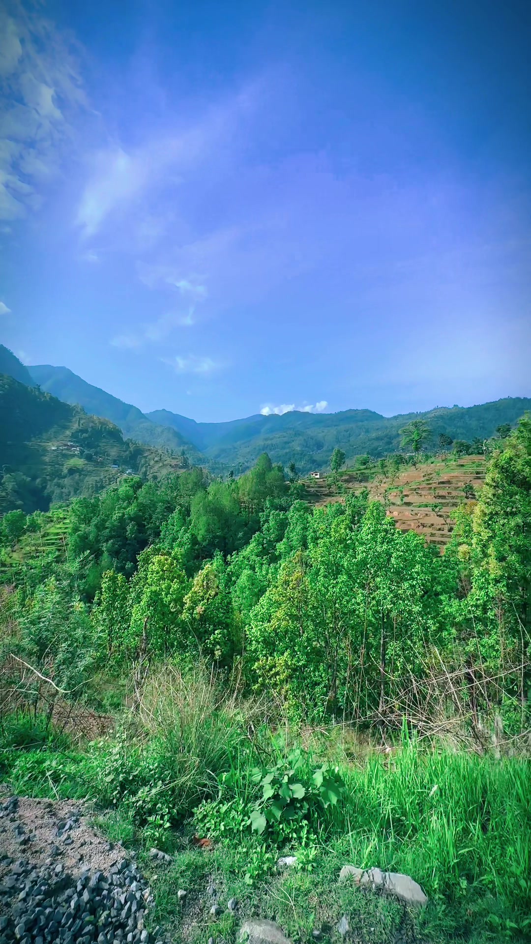 @navraj karki
