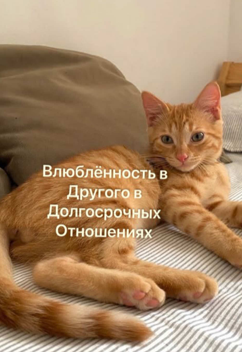 @мамин хep