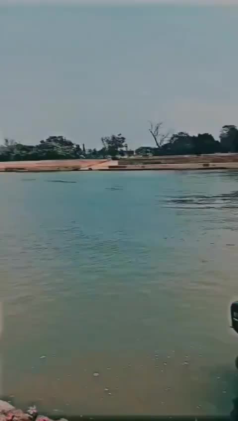 @توقیر نمبردار ۔🇸🇦