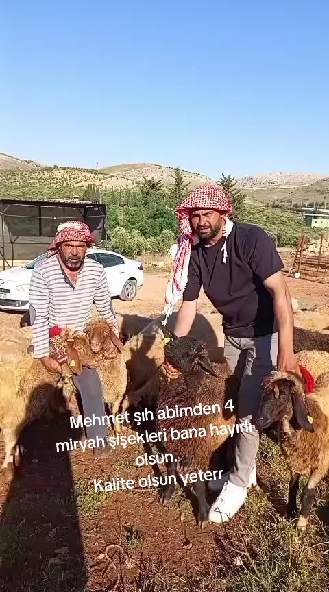 @"Enes_bdk