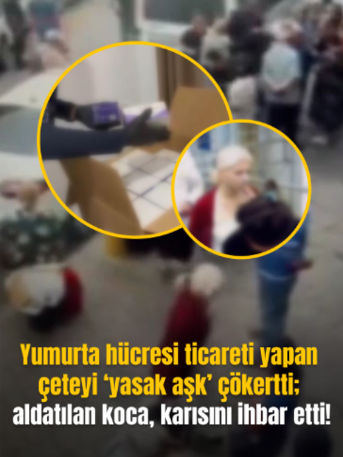 @Mynet
