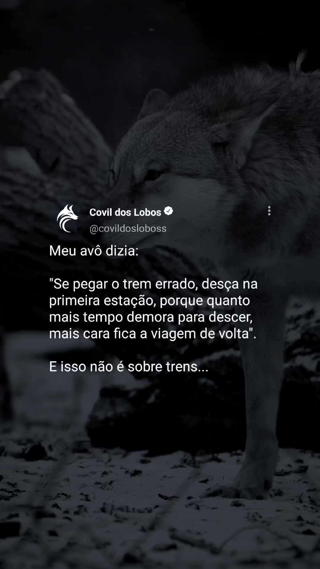 @Covil Dos Lobos