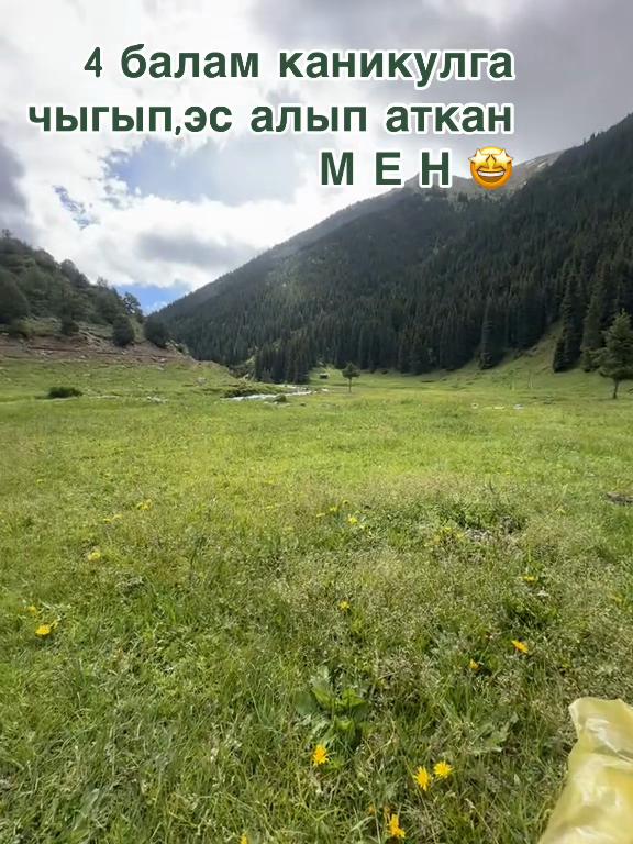 @❤️ NaRgIZ ShAh ❤️
