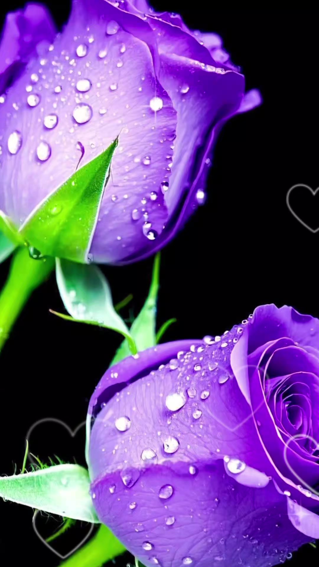 @Flor_Aleli07