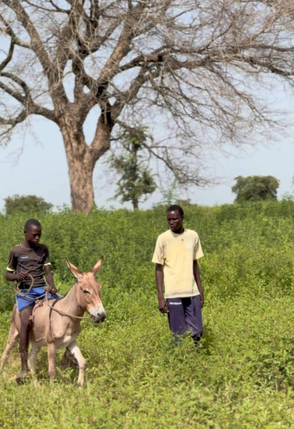@Modou.comédien