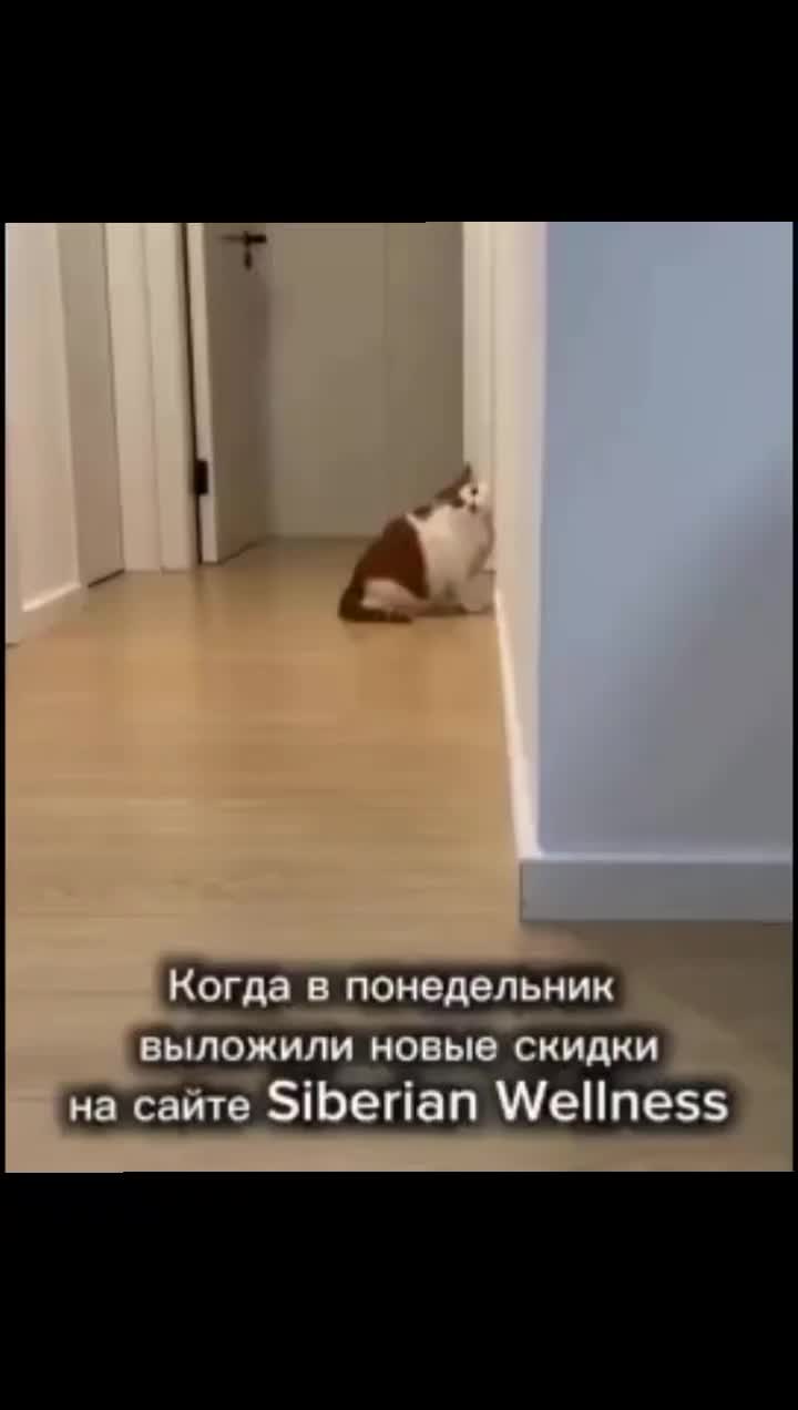 @Борисыч📸📹